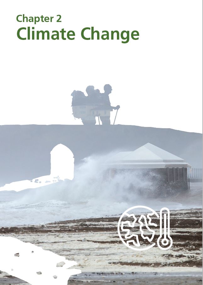 Report cover IE 2020 - Chapter 2